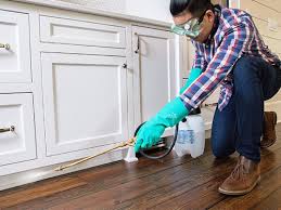 Best Pest Prevention Services  in Anacoco, LA